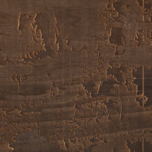 Laced Bark by JOYCE BILLET 