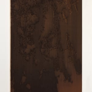 Bark II by JOYCE BILLET 