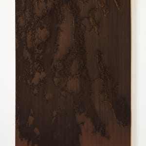 Bark II by JOYCE BILLET 