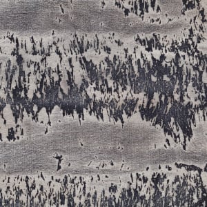 Debris (Charcoal) by JOYCE BILLET 
