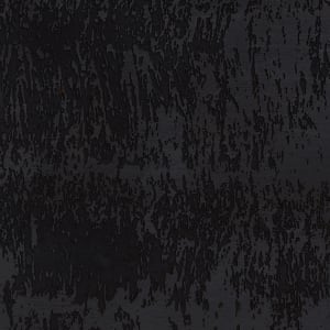 Black Debris Negative by JOYCE BILLET 