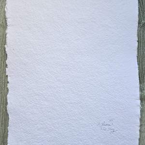 A Fish Story by Anita L Loomis  Image: A Fish Story - back