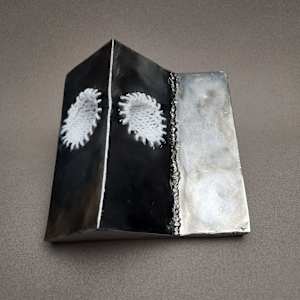 Occurrence #15 by Amanda Langer 