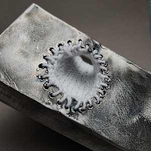 Occurrence #15 by Amanda Langer 