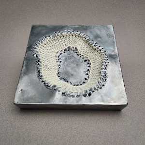 Occurrence #16 by Amanda Langer 