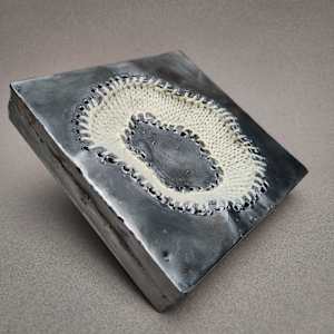 Occurrence #16 by Amanda Langer 