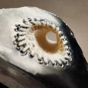 Occurrence #19 by Amanda Langer 