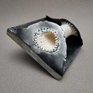 Occurrence #19 by Amanda Langer 