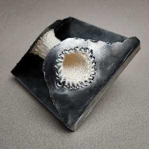 Occurrence #19 by Amanda Langer 