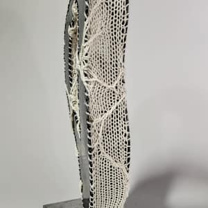 Internal by Amanda Langer 