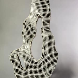 Second Skin by Amanda Langer 