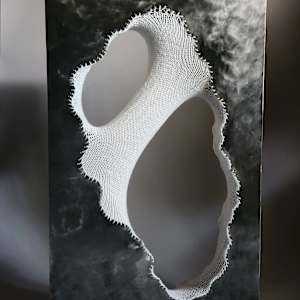 Revelation of the Softness Within by Amanda Langer, Image 1.