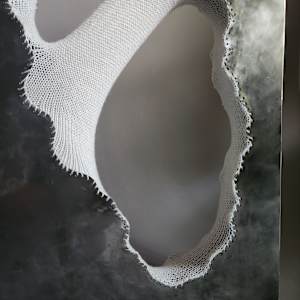 Revelation of the Softness Within by Amanda Langer, Image 13.