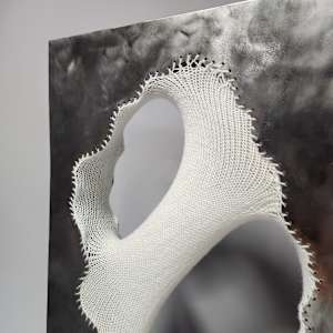 Revelation of the Softness Within by Amanda Langer, Image 7.