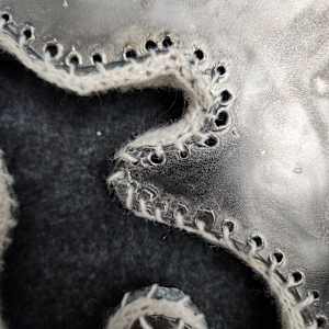 Occurrence #26 by Amanda Langer 