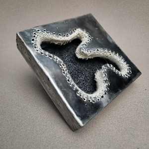 Occurrence #26 by Amanda Langer 