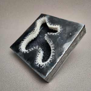 Occurrence #26 by Amanda Langer 