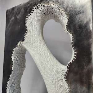 Revelation of the Softness Within by Amanda Langer, Image 10.