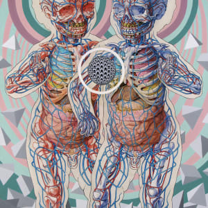 50/50 by Michael Reedy