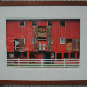 Daughin County Barn by Terry Wild