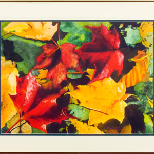 Fallen Leaves by Gloria Watts