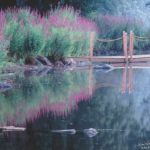 Springtime Splendor by Don Kline