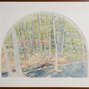 Gaia at Work, Gaia at Play by Carol Schwartz