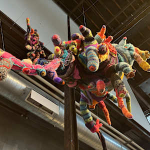 Bio2 by Rachel Blythe Udell