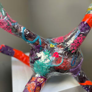 NeuroPlastic by Rachel Blythe Udell 