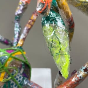 NP9 by Rachel Blythe Udell 