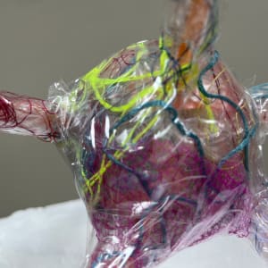 NP14 by Rachel Blythe Udell 