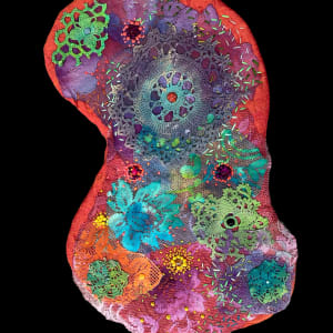 QC23 by Rachel Blythe Udell, Image 2.