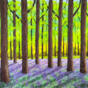Bluebell Woods 2021/01 by Ushma Sargeant Art 