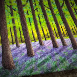 Bluebell Woods 2021/01 by Ushma Sargeant Art 