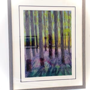 Bluebell Woods 8 by Ushma Sargeant Art