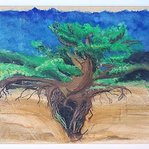 Kalaloch Tree of Life by Krista O'Halpin