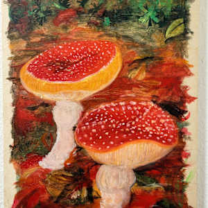 Pacific Northwest Mushrooms by Krista O'Halpin