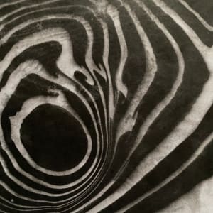 Covid Enso / 5 by Masako Takahashi 