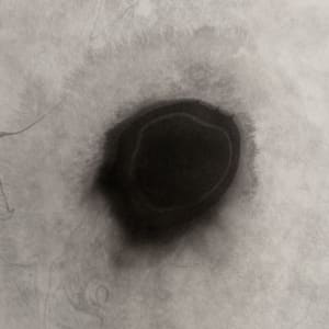 Covid Enso / 1 by Masako Takahashi 