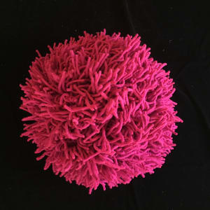 Giant Magenta Pom Pom by Masako Takahashi