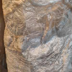 Fluid Becoming ... Choice by Alysn Midgelow-Marsden 