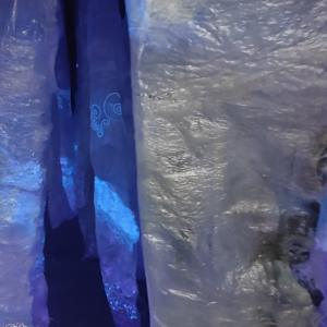 Fluid Becoming ... Choice by Alysn Midgelow-Marsden 