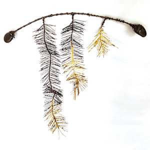 plume vi by Alysn Midgelow-Marsden