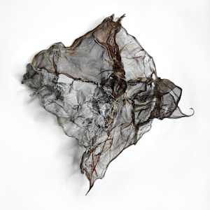 harbouring light by Alysn Midgelow-Marsden