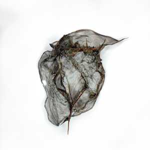 becoming light by Alysn Midgelow-Marsden