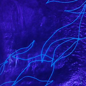 Fluid Becoming ... Choice by Alysn Midgelow-Marsden 