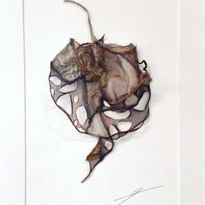 glimpses of things not seen iii by Alysn Midgelow-Marsden