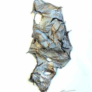 glimpses of things not seen xvii by Alysn Midgelow-Marsden