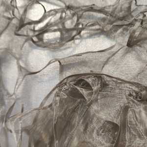 Liminal light iii by Alysn Midgelow-Marsden, Image 4.