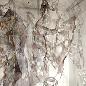 between shadow and substance : uncertain knowing by Alysn Midgelow-Marsden, Image 5.
